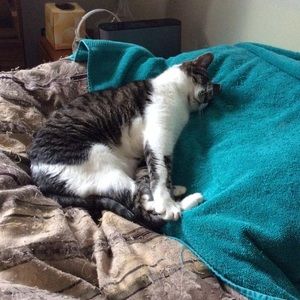 Meet your Posher, Joe